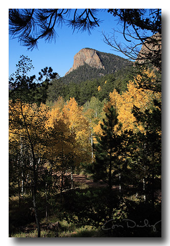 autumn_day